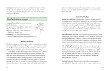 Load image into Gallery viewer, Front Cover