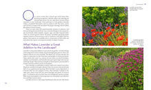 Load image into Gallery viewer, Front Cover