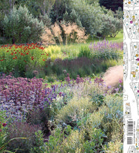 Load image into Gallery viewer, Front Cover