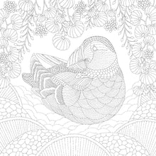 Load image into Gallery viewer, Front Cover