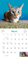 Load image into Gallery viewer, Front Cover