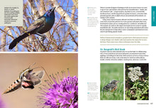 Load image into Gallery viewer, Front Cover