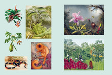 Load image into Gallery viewer, Front Cover