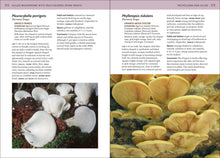 Load image into Gallery viewer, Front Cover