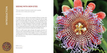 Load image into Gallery viewer, Front Cover