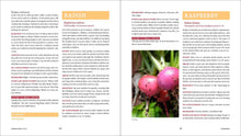 Load image into Gallery viewer, Front Cover