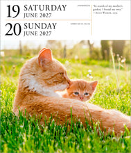 Load image into Gallery viewer, Front Cover