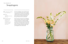 Load image into Gallery viewer, Front Cover