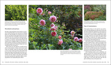 Load image into Gallery viewer, Front Cover