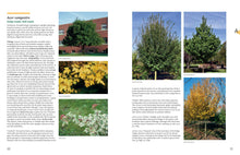 Load image into Gallery viewer, Front Cover
