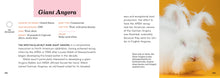 Load image into Gallery viewer, Front Cover