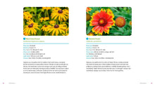 Load image into Gallery viewer, Front Cover