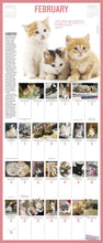 Load image into Gallery viewer, Front Cover