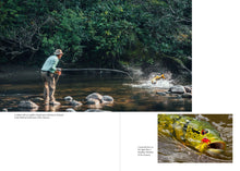 Load image into Gallery viewer, Front Cover