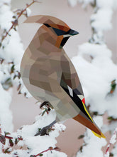 Load image into Gallery viewer, Front Cover