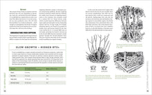 Load image into Gallery viewer, Front Cover