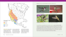 Load image into Gallery viewer, Front Cover