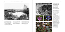 Load image into Gallery viewer, Front Cover