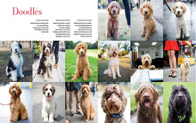 Load image into Gallery viewer, Front Cover