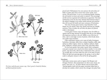 Load image into Gallery viewer, Front Cover