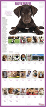 Load image into Gallery viewer, Front Cover