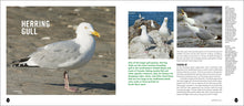 Load image into Gallery viewer, Front Cover