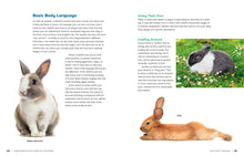 Load image into Gallery viewer, Front Cover