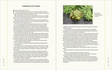 Load image into Gallery viewer, Front Cover