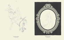 Load image into Gallery viewer, Front Cover