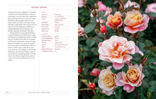 Load image into Gallery viewer, Front Cover