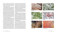 Load image into Gallery viewer, Front Cover