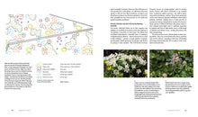 Load image into Gallery viewer, Front Cover