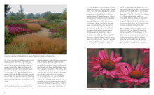 Load image into Gallery viewer, Front Cover