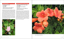 Load image into Gallery viewer, Front Cover