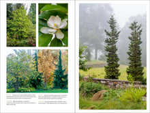 Load image into Gallery viewer, Front Cover