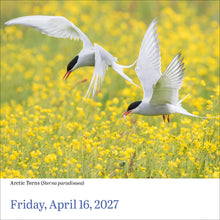 Load image into Gallery viewer, Front Cover
