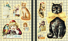 Load image into Gallery viewer, Front Cover