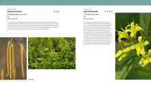 Load image into Gallery viewer, Front Cover