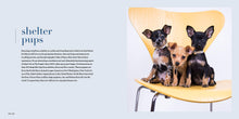 Load image into Gallery viewer, Front Cover