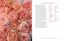 Load image into Gallery viewer, Front Cover