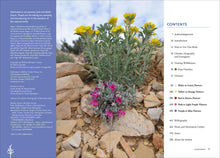 Load image into Gallery viewer, Front Cover
