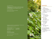 Load image into Gallery viewer, Front Cover