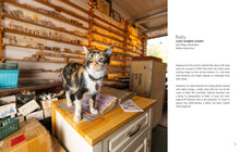 Load image into Gallery viewer, Front Cover