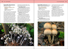 Load image into Gallery viewer, Front Cover