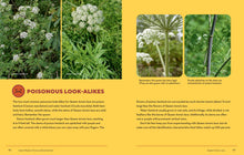 Load image into Gallery viewer, Front Cover
