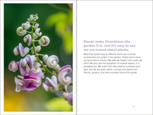 Load image into Gallery viewer, Front Cover