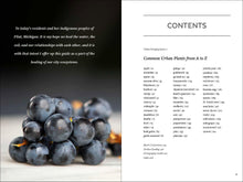 Load image into Gallery viewer, Front Cover