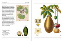 Load image into Gallery viewer, Front Cover