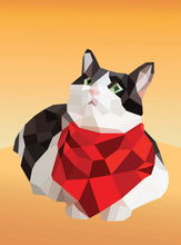 Load image into Gallery viewer, Front Cover