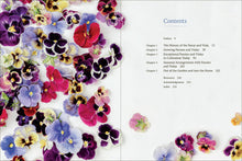 Load image into Gallery viewer, Front Cover